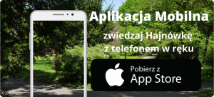 Aplikacja-Mobilna-z-AppStore